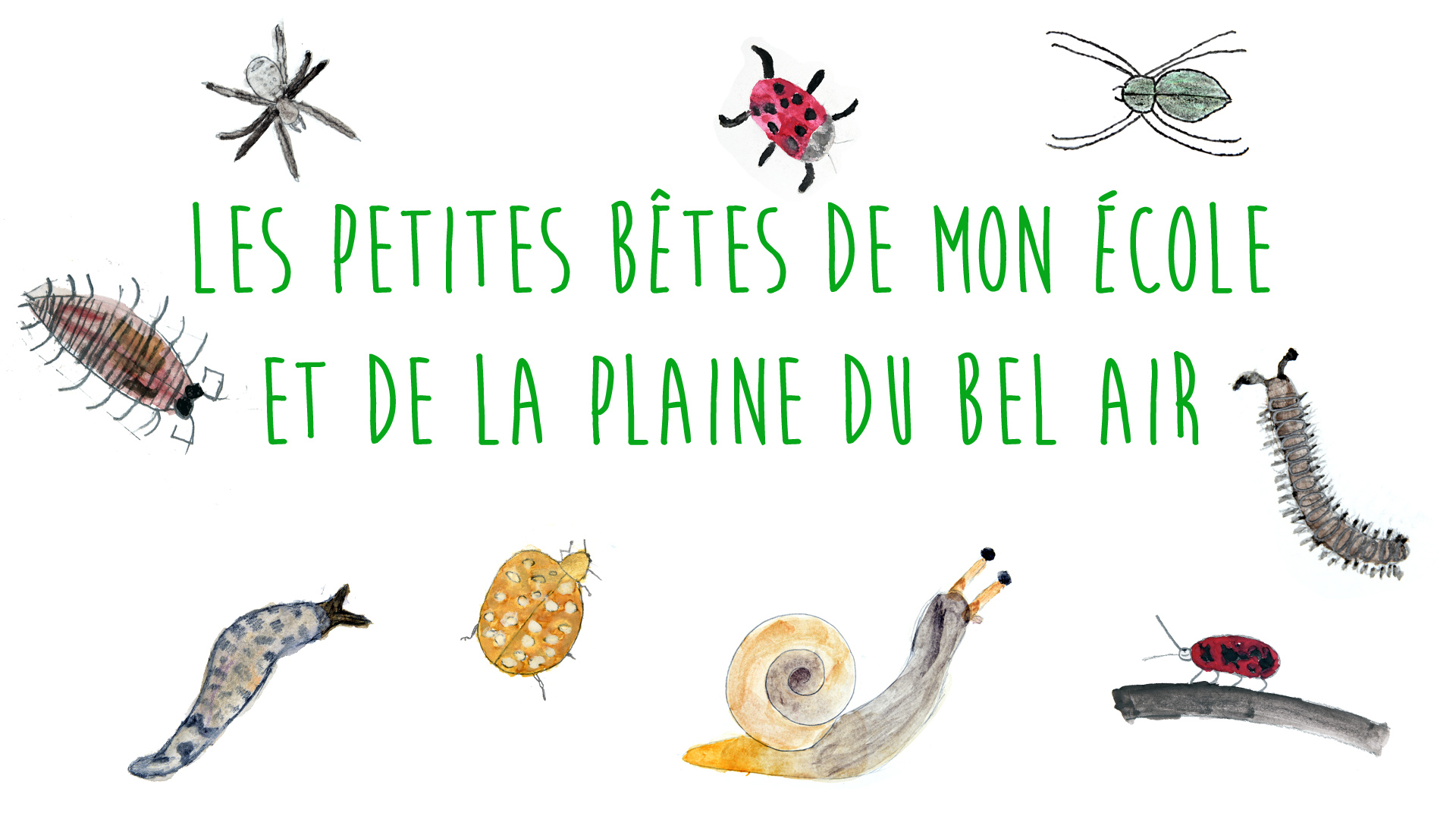 Illustration de petites bêtes avec le texte 'Les petites bêtes de mon école et de la plaine du Bel Air'