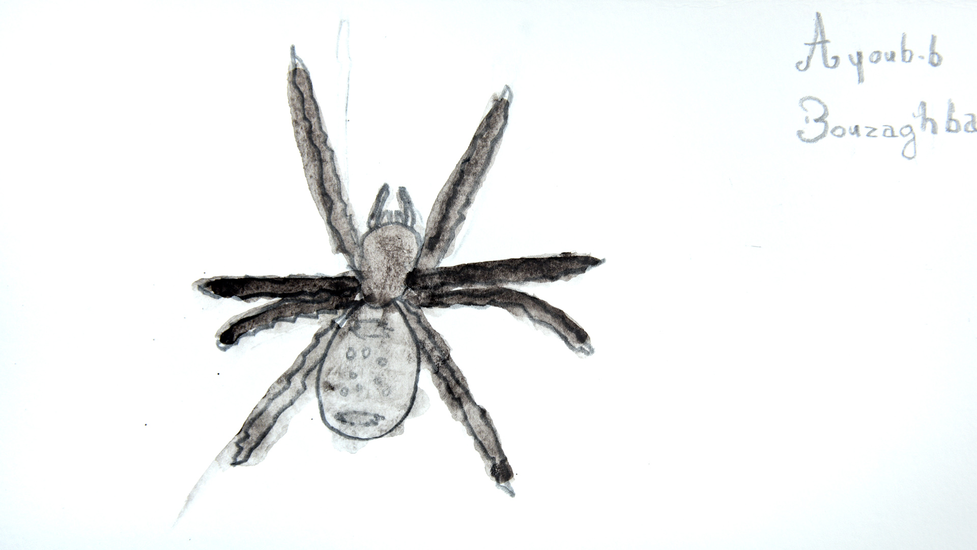 Troisième dessin d'une araignée